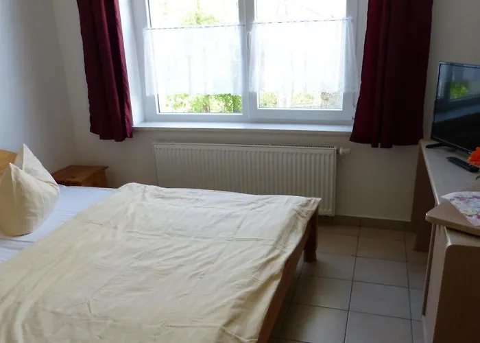 Bernstein درانسكي